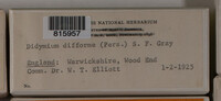 Image Associated With the Occurrence